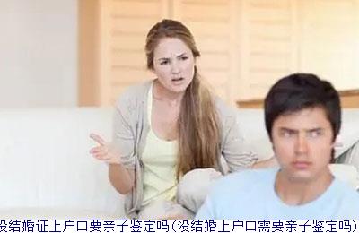 没结婚证上户口要亲子鉴定吗(没结婚上户口需要亲子鉴定吗)